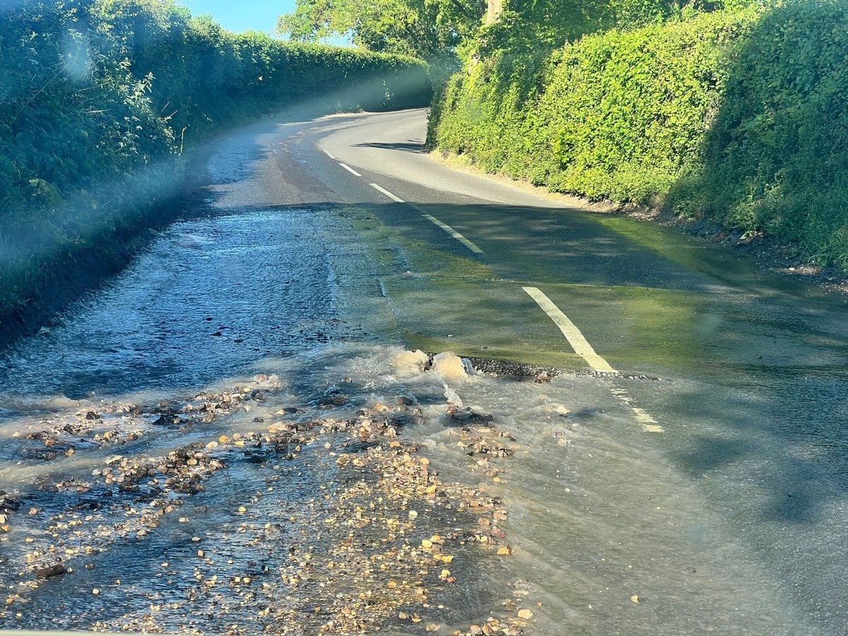 Mortimer Life tweet media