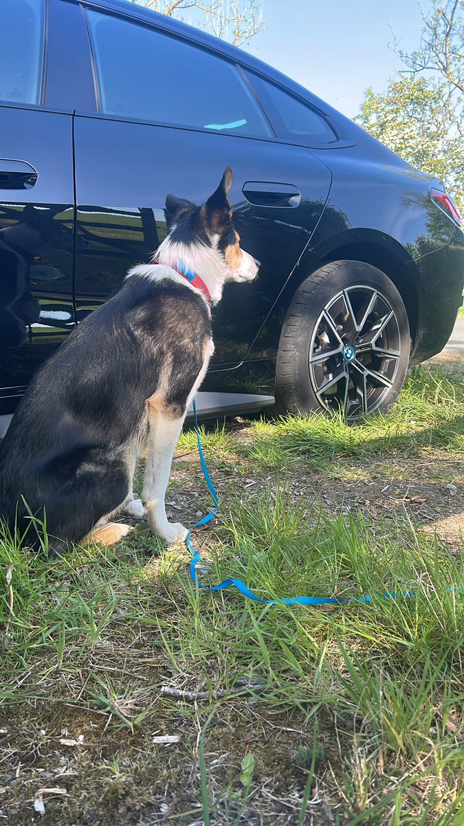 Today isn’t going very well. We are stuck with a puncture in the middle of nowhere near Cockermouth waiting for the AA because the tyre crack is too big for the repair kit. So today’s run or anything else fun is off the cards 😭