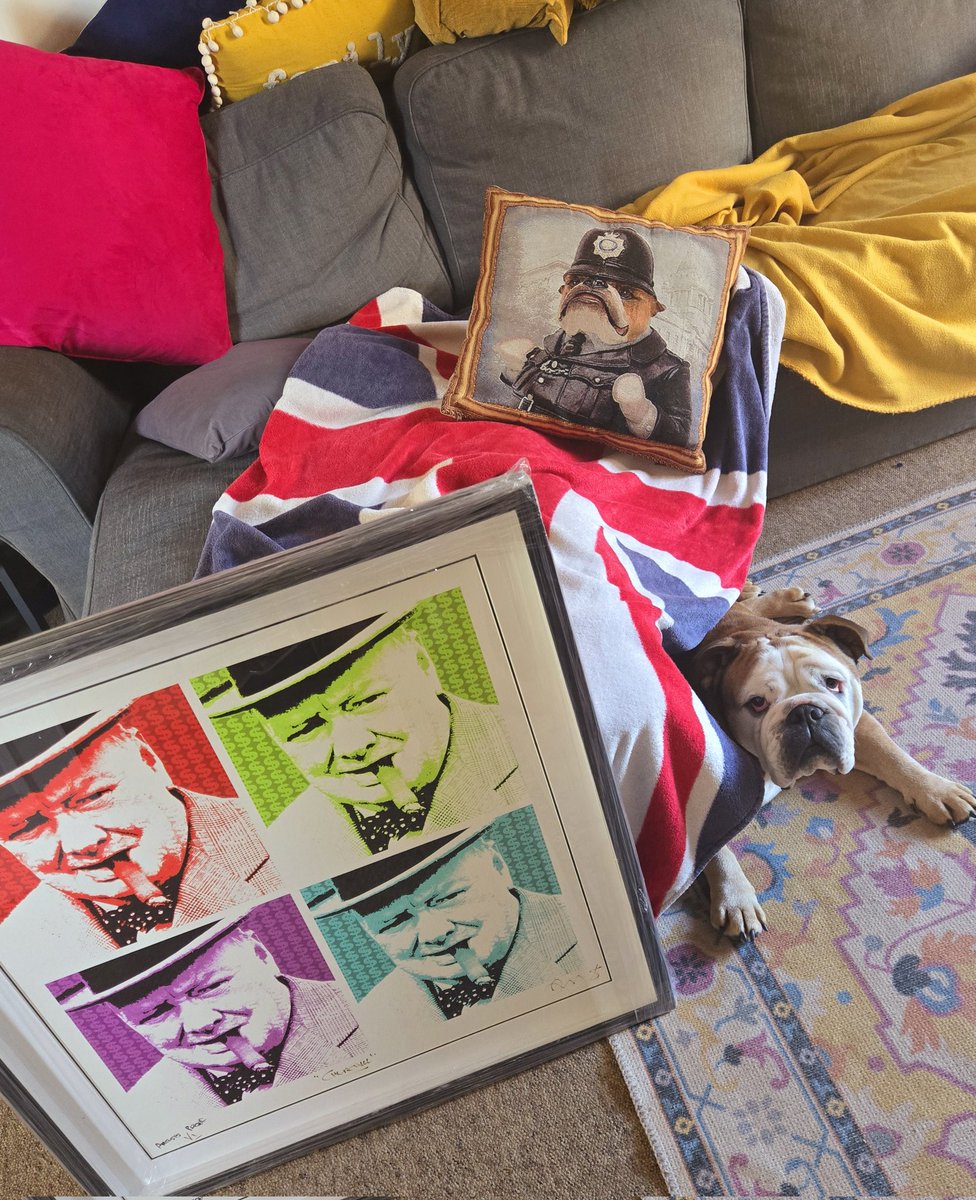 It's #veday weekend with Bully Bob in full effect in the ❤️ of Cheshire...
#ceasefire #veday #bulldogs