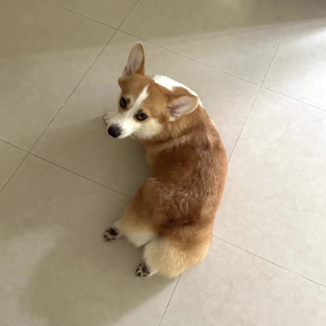 septb126's tweet photo. ท่าโคตรจะไทย555555555555555555555555555555555555ไอ่อ้วนนนนน https://t.co/F1x24C5fTr