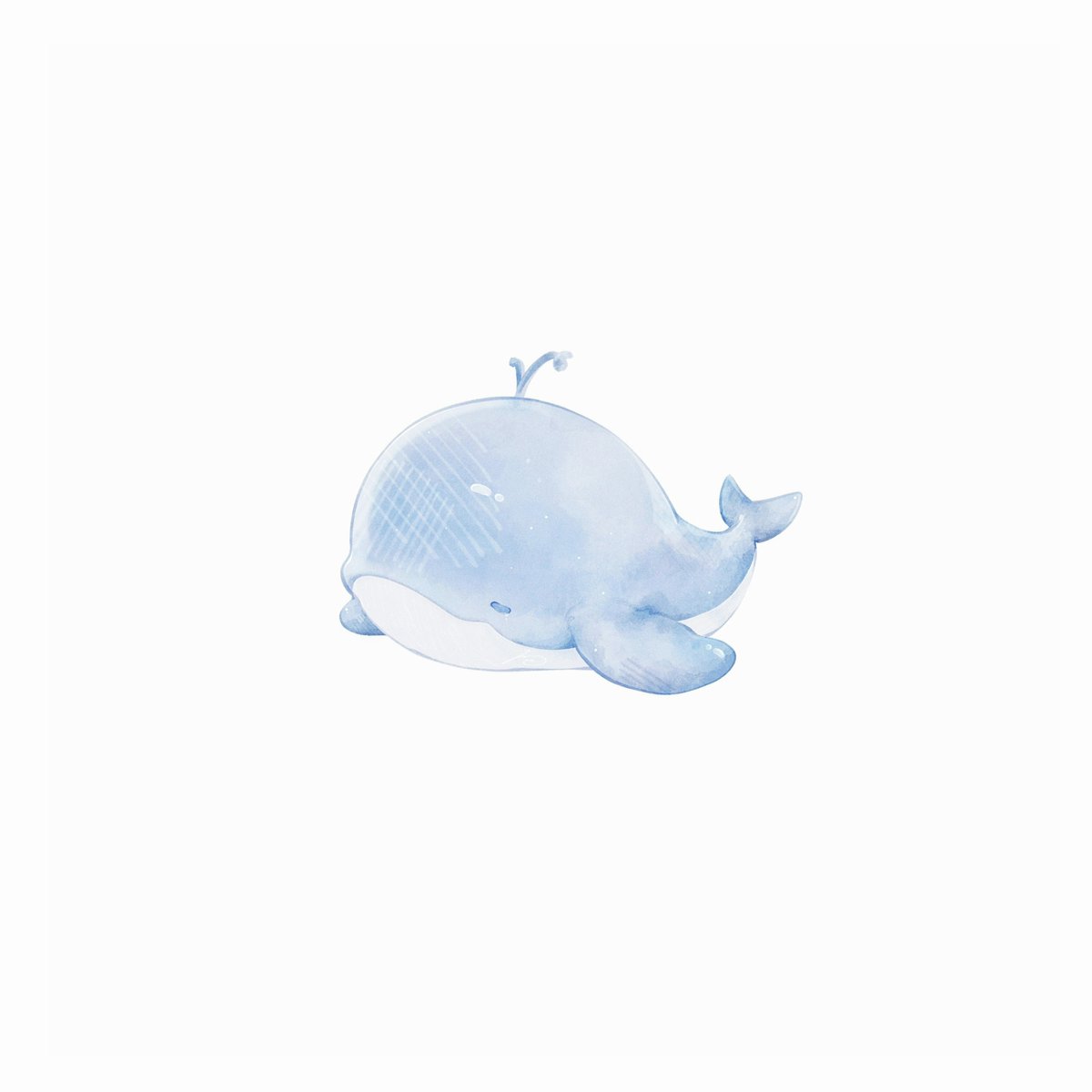 くじらです🐳