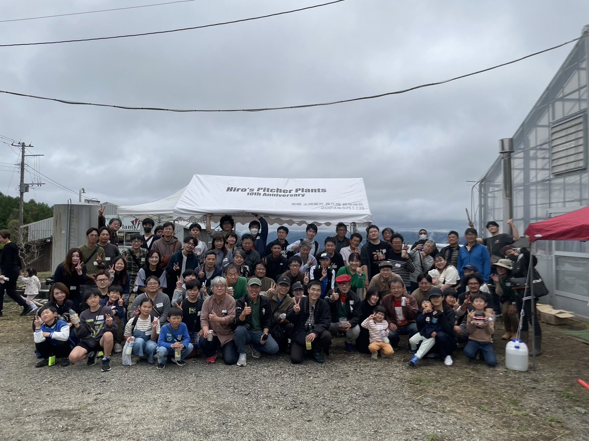 ラ*ク様 ☘️スペシャルイベント☘️3186★超小輪★ギザギザ葉【トルカータス交 ラ*ク様 ☘️スペシャルイベント☘️3186☆超小輪☆ギザギザ葉