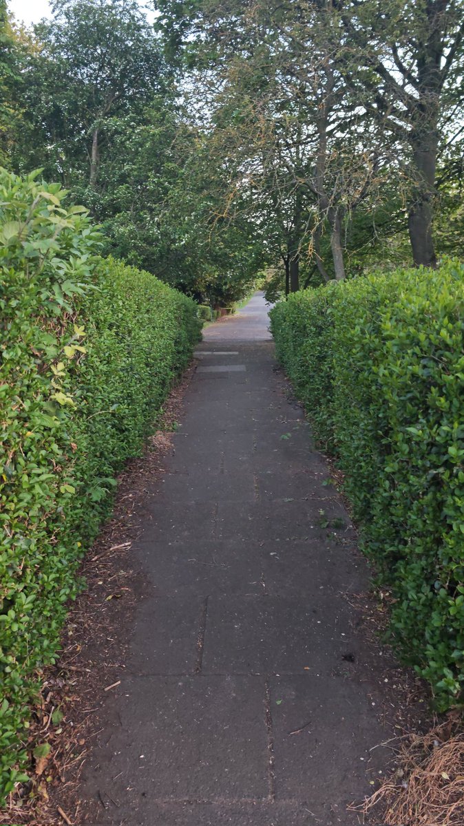 Ademola_Odumesi's tweet photo. In love with nature 😍
South shield
Newcastle, United Kingdom
#streetphotography #honor #magic7pro https://t.co/ZECAXaXLSU