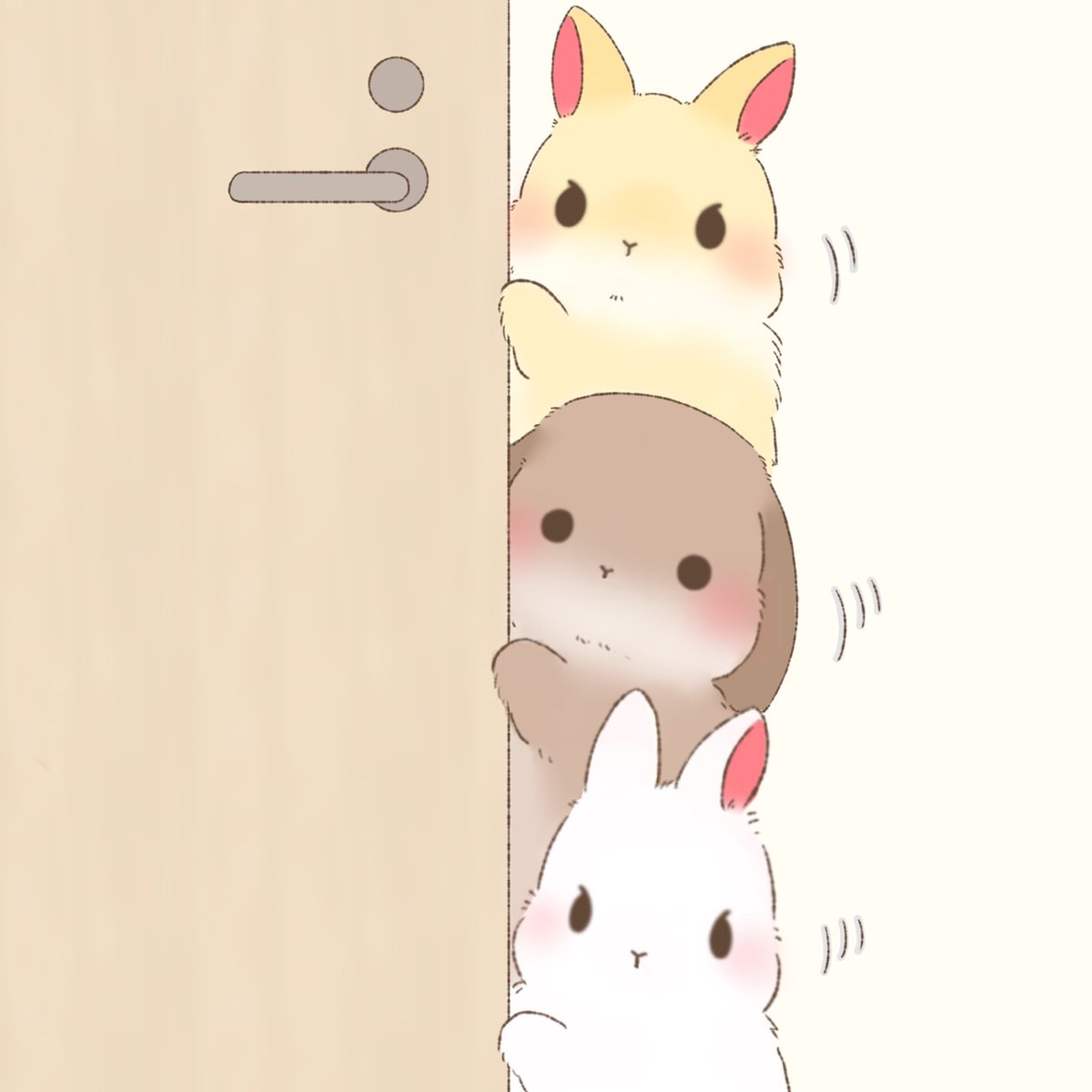 うさぎ3きょうだいとのほっこり生活 (@ypn0218) / Posts / X