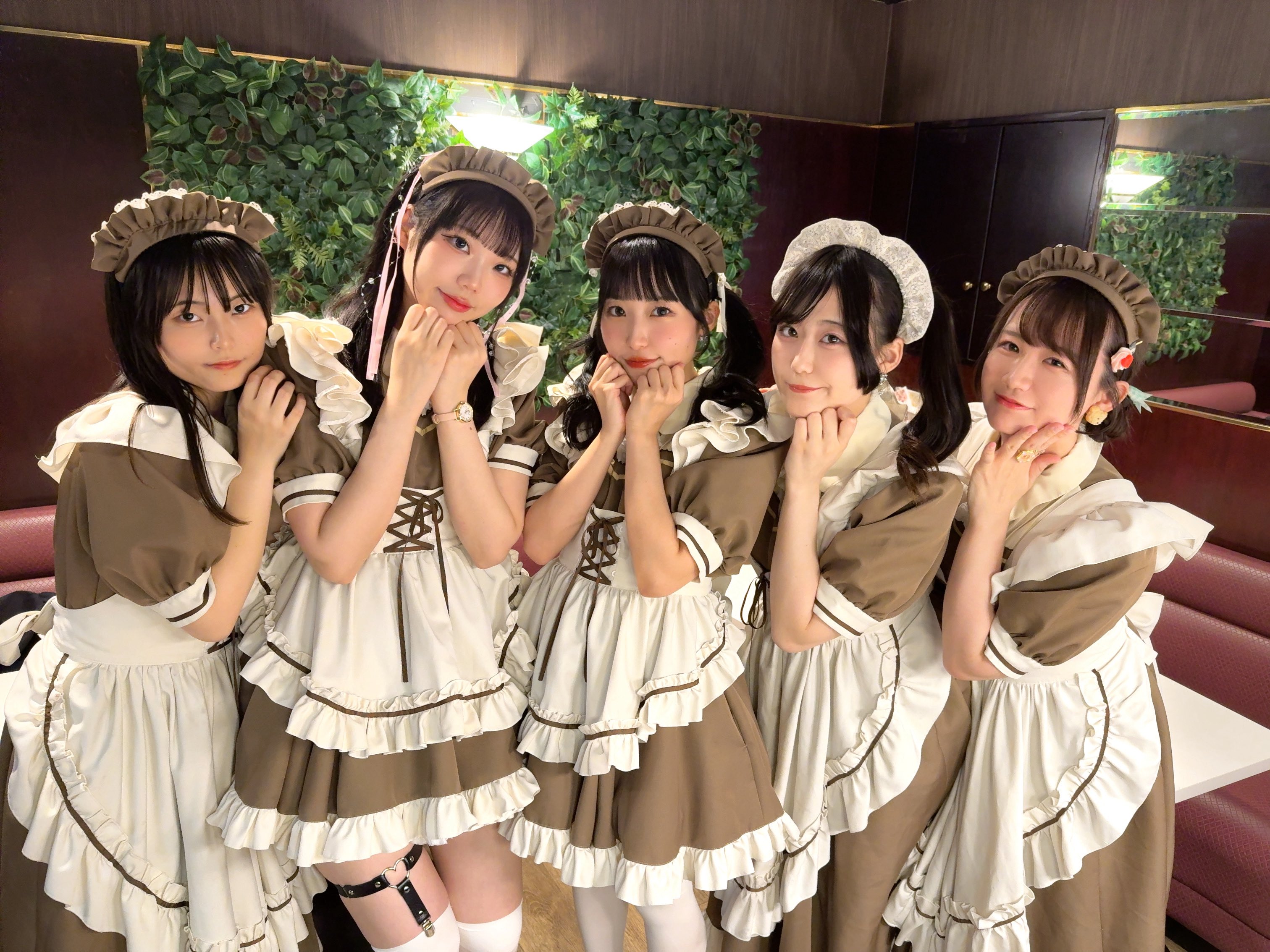 メイド喫茶とまり木🕊️ on X: 