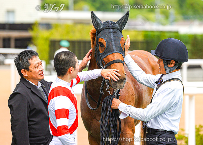 【カネヒキリ】重賞馬券５枚セット(現地的中) カネヒキリ】重賞馬券5枚セット(現地的中)