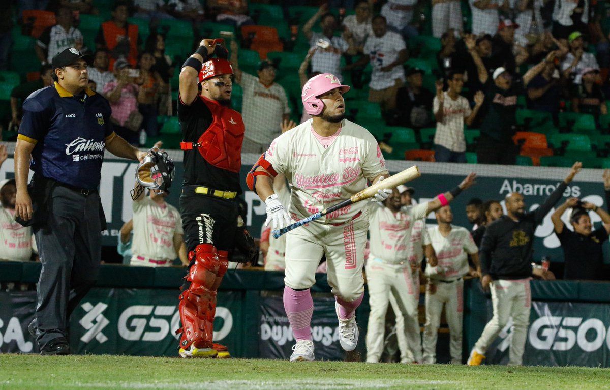 Andres M Novelo Mena tweet media