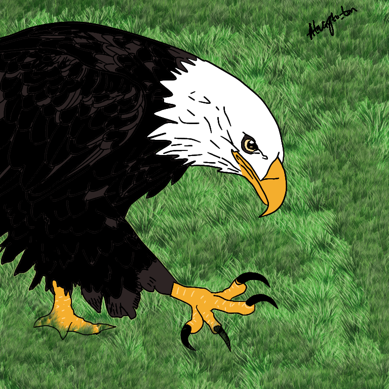 ataverse_art's tweet photo. Is it the line Art or Colored, which do you prefer ?🖼️Every bit of feedback counts. ❤️
@detailsinart @EA @zyper
Enjoy your weekend!
#AMVCA #art #BIRDSTORY #weeke https://t.co/AoYr27bNE3