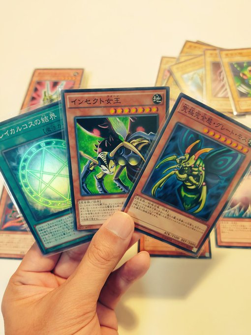 みんな!!!見て!!!!
羽蛾デッキ!!!!!!! 