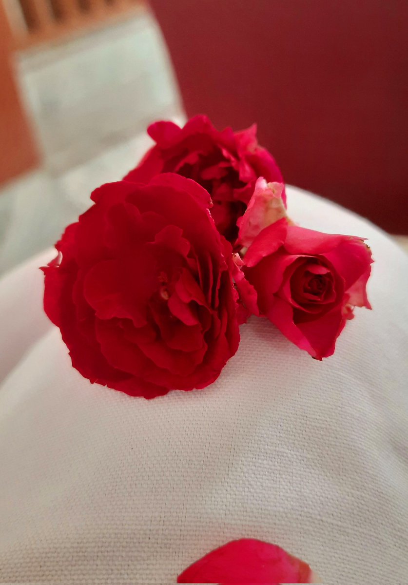 Happy Mother's Day.