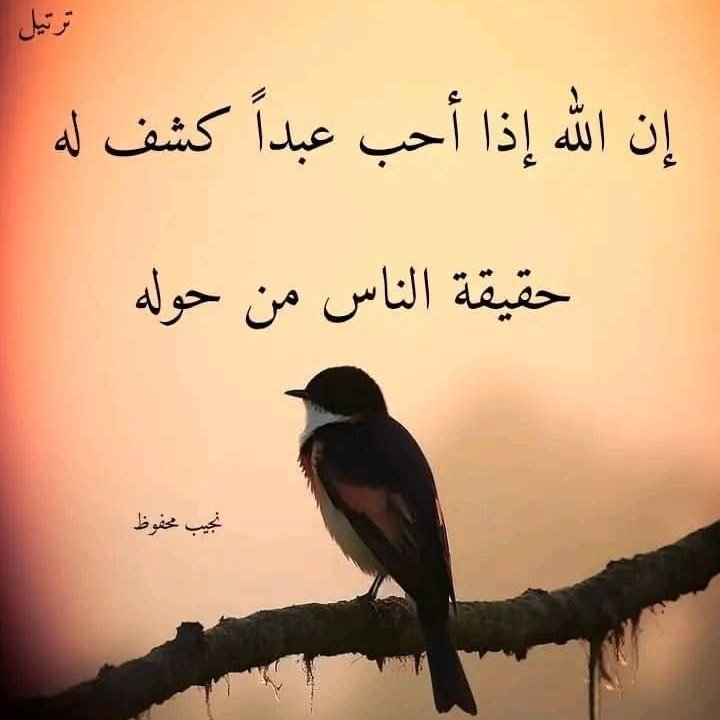 #صورة_ملف_شخصي_جديدة