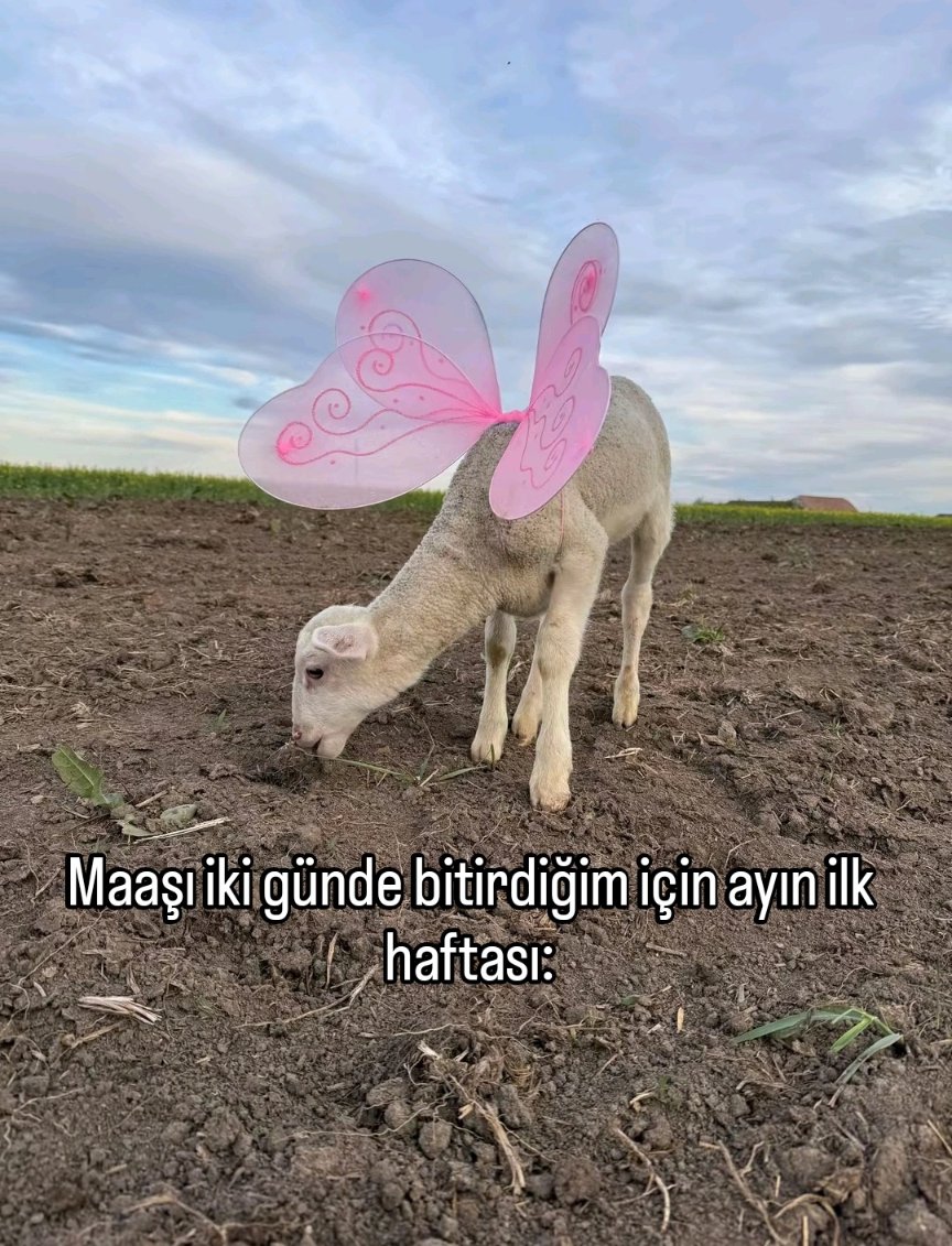 ANLIK (@anlikmod) on Twitter photo 