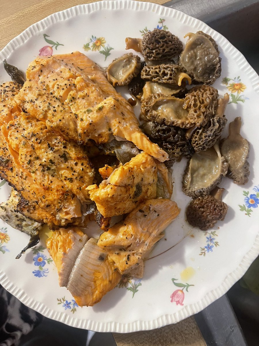 Morel Season is finally here for Northern Michigan!