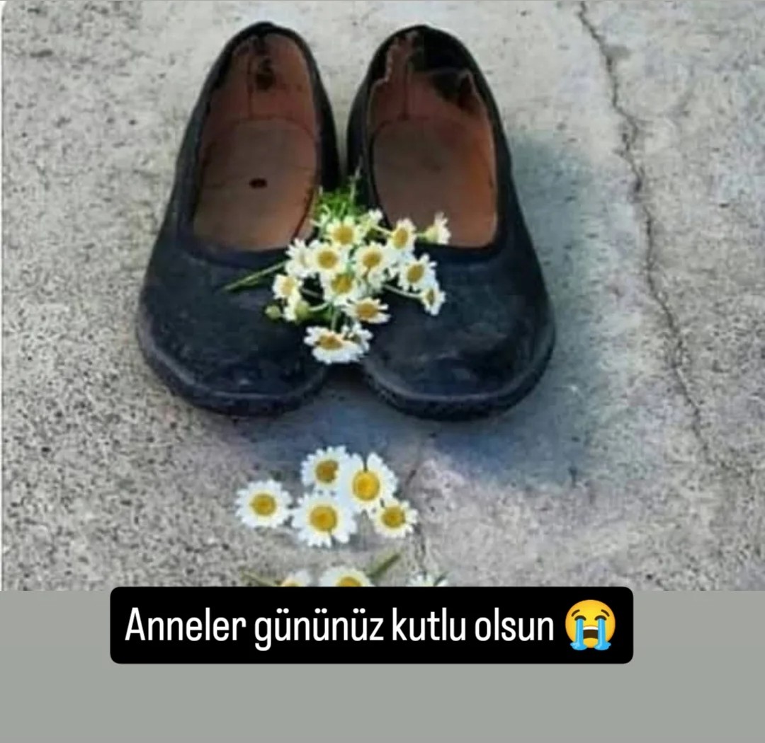 recep tankal (@rcptnkl05) on Twitter photo 