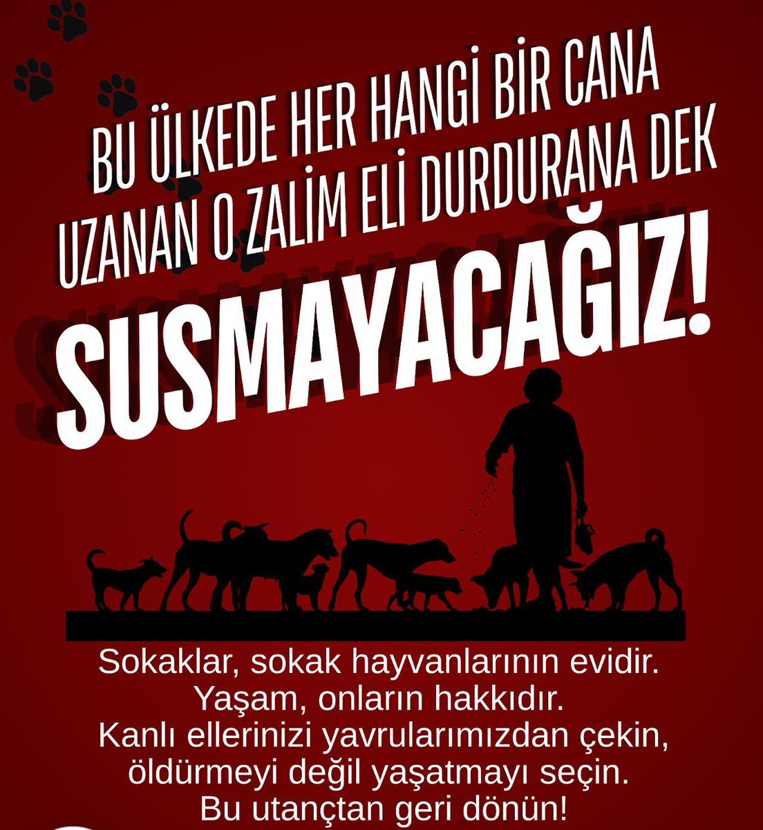 nc_20_07's tweet photo. #SokakHayvanlarıSahipsizDeğildir https://t.co/rAPS1qpRwx