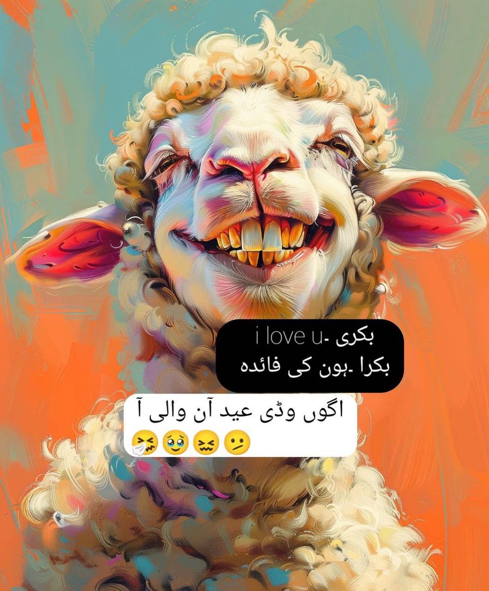 ہائے عاشقی تیرا بیڑا غرق 🫠