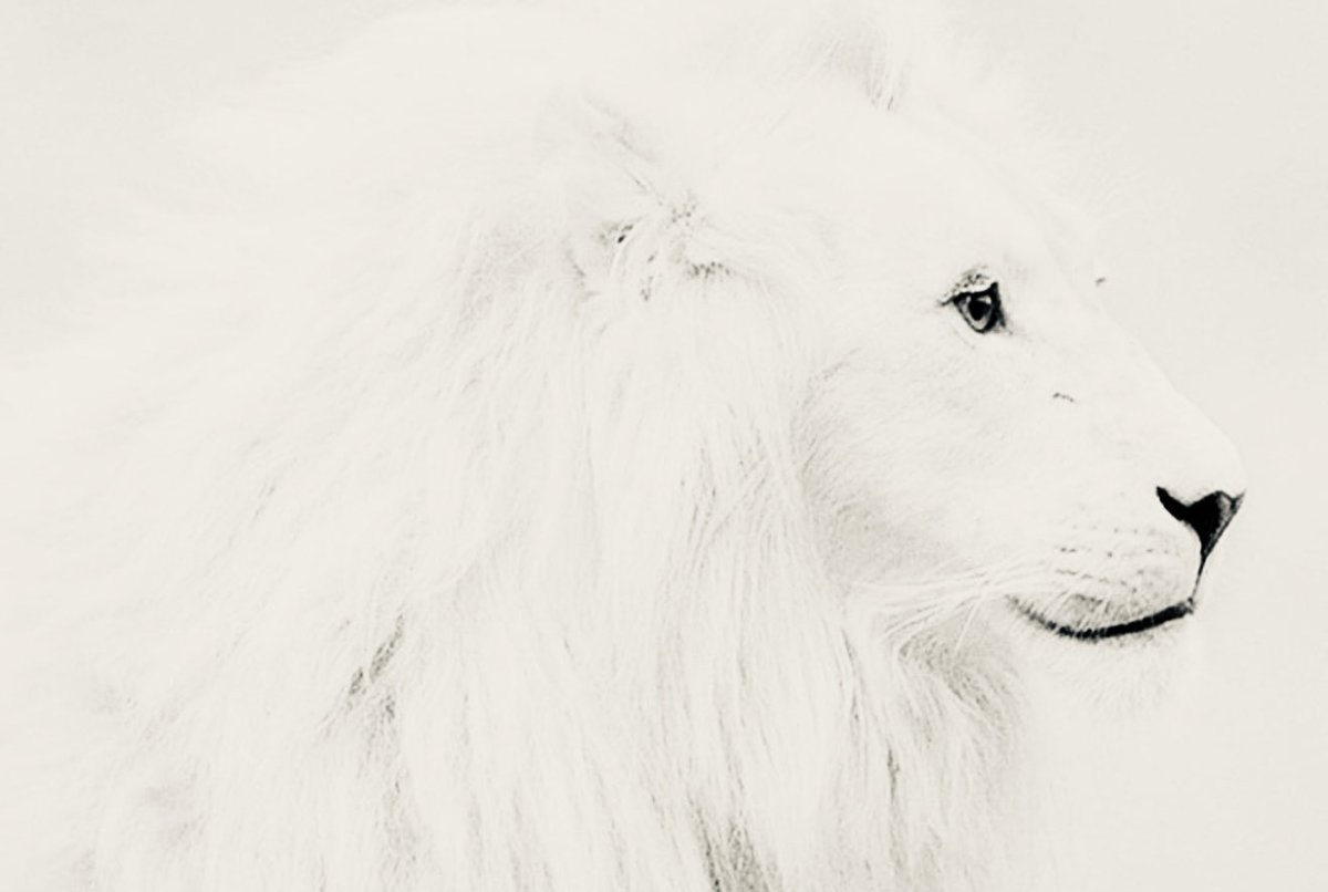 FABIAN BAZAN (@profebazan) on Twitter photo 