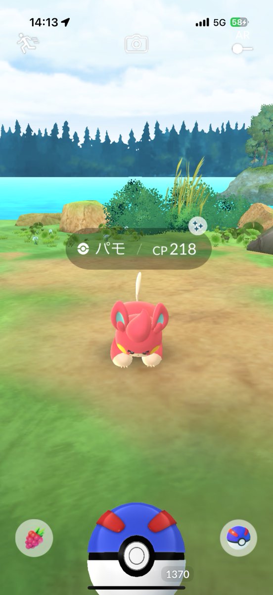 tomopu_pgo's tweet image. SHUNDOOOOO!!🧸✨