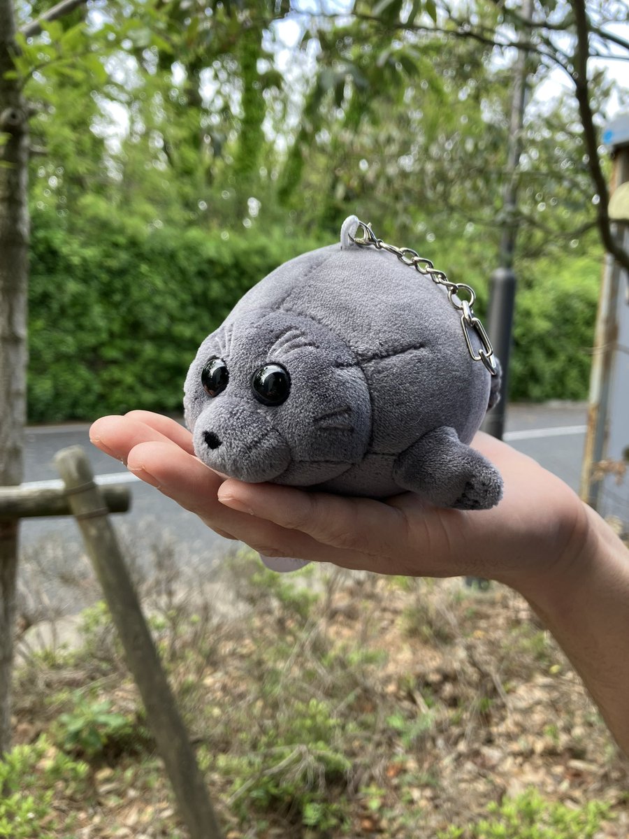 marinepiaheart's tweet image. 🌟新商のお知らせ🌟
まるまるバイカルアザラシに
ついにマスコットが登場しました‼️
ナスカンタイプのストラップか付いていて取り外しが出来ます🤗
手のひらサイズで柔らかい触り心地は
ずっと触っていたくなります❤️
ぜひお見逃しなく!
#バイカルアザラシ
#マリンピア日本海
#新潟