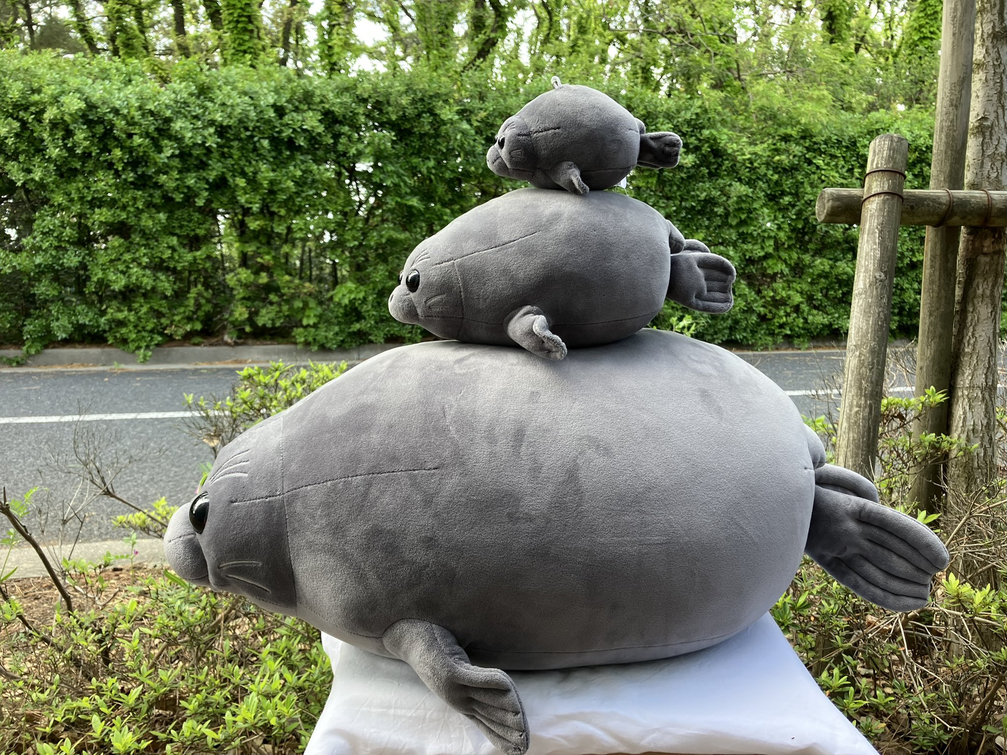 【貴重品】マリンピア松島水族館　メモリアル　グッズ　セット m47533559455_1.jpg?1705152930