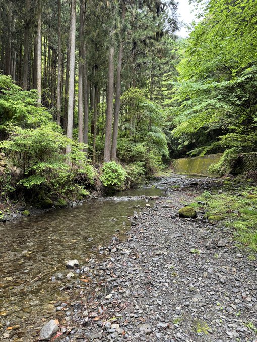 会社のキャンプ行ってきた!! 