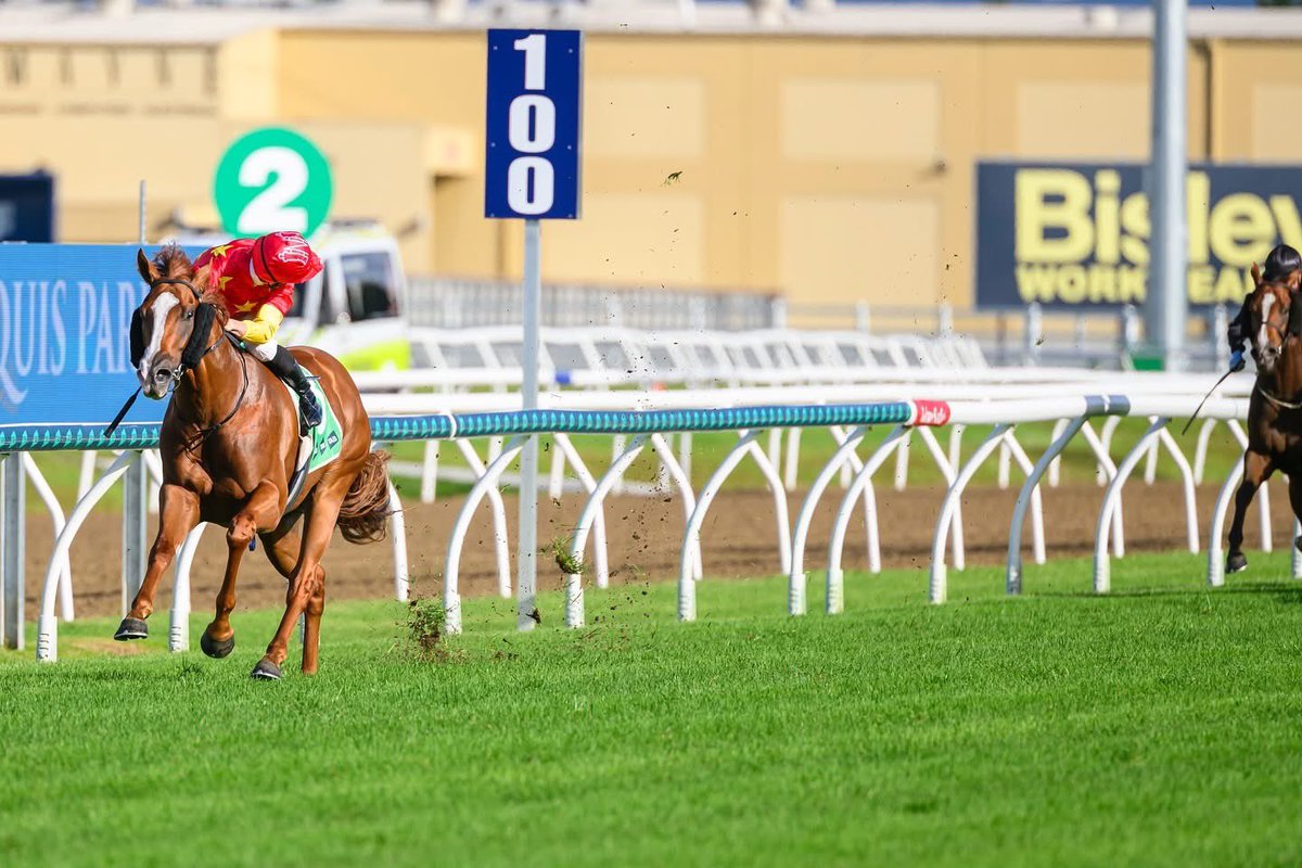 MattVella_RS's tweet photo. Special performance that one yesterday… So great working with quality horses and hugely supportive owner groups. 🟡🔴⚪️ #Beadman
#TheMVSystem
#BreakerSuccess
#PreTrainerSuccess
#MattVellaRacingServices https://t.co/nMN6JQ6VzR