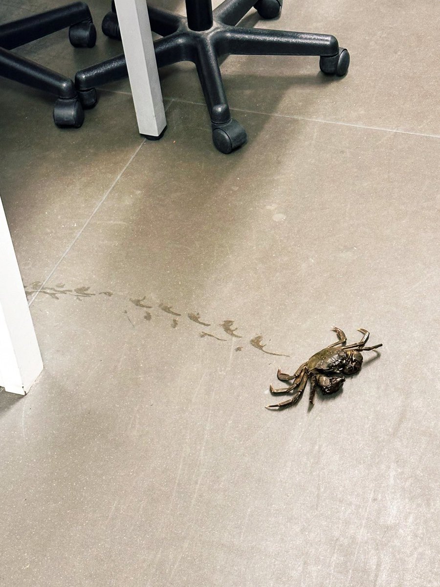その後
無事捕獲