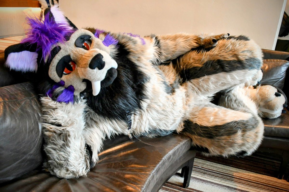 If I fits... I sits! Did you just pspsps me?!
.
🪡 <a href="/TheKarelia/">TheKareliaFursuits</a> 
.
#furryweekendatlanta #FWA2025