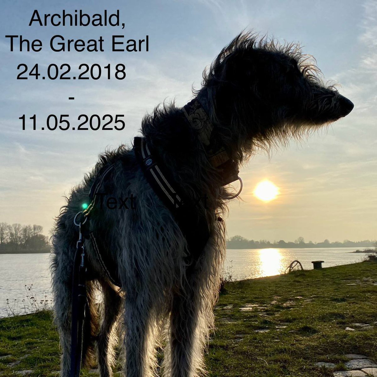 @picturafix.bsky.social tweet media