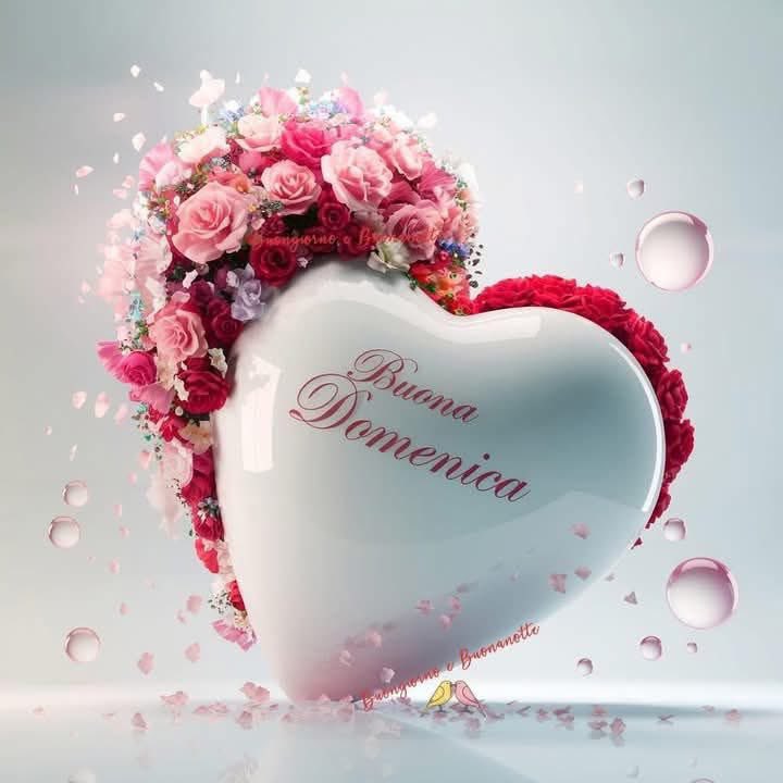 RITABIANCHi56 tweet media