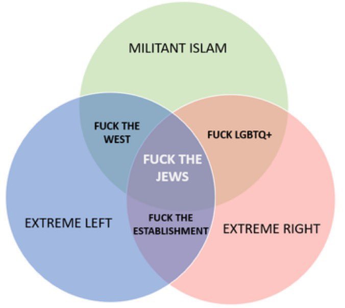 The current political climate perfectly detailed in a Venn diagram.