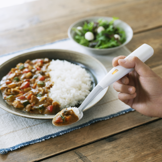 エレキソルト スプーン カレー付き エレキソルトスプーン カレー付き