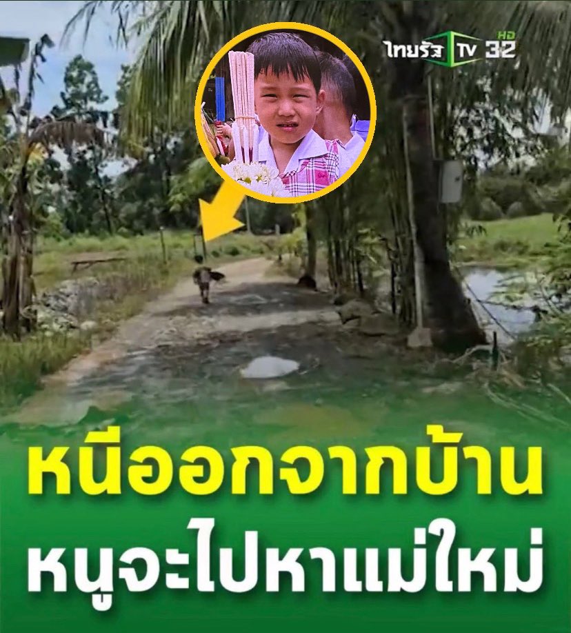 n0turchou's tweet image. น้ำปิงกลับมาก่อนลูก