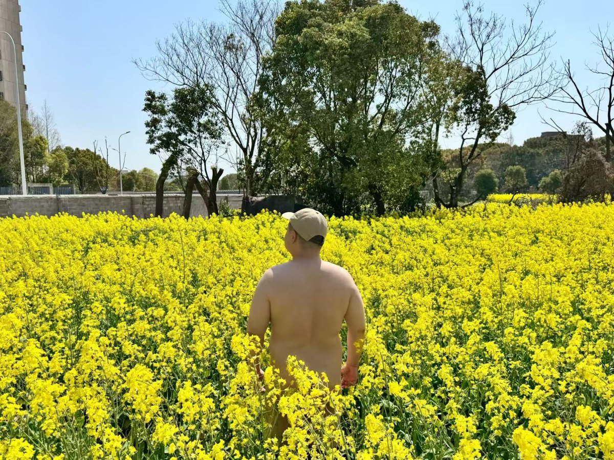 春天就这么过去啦