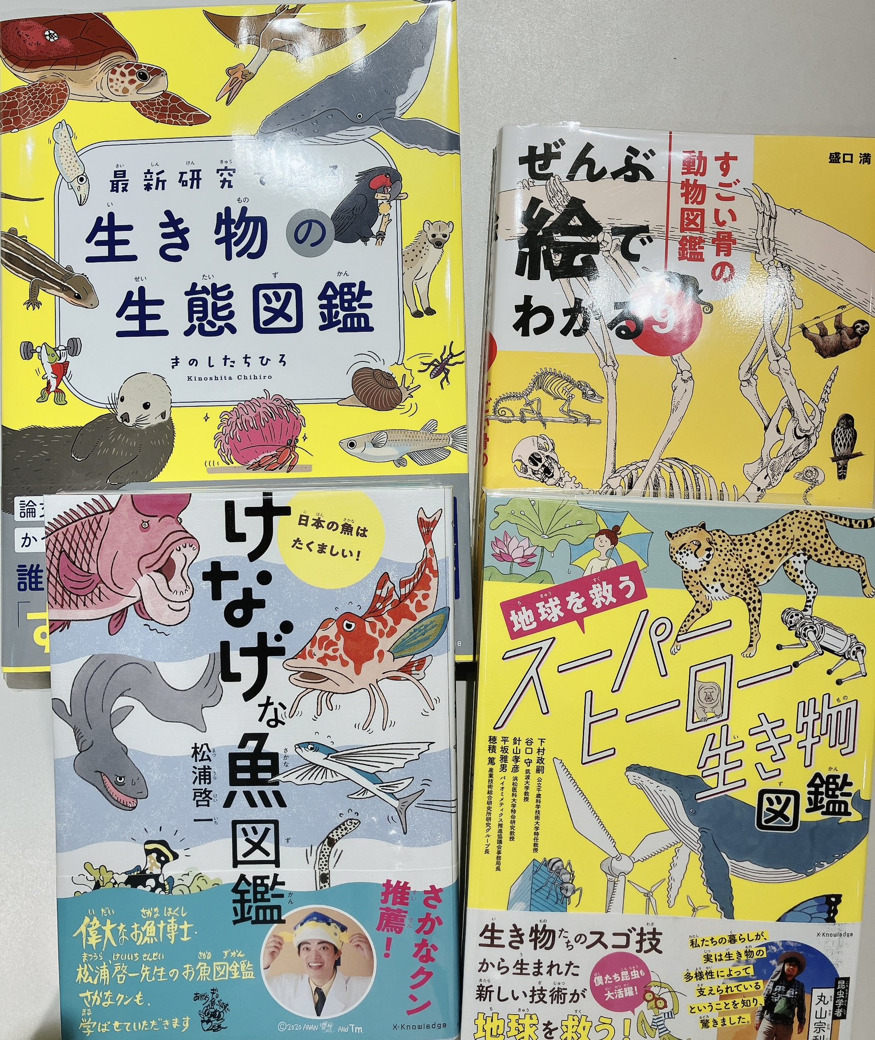 へんなものみっけ！（1） (ビッグコミックス) | 早良朋 | 青年