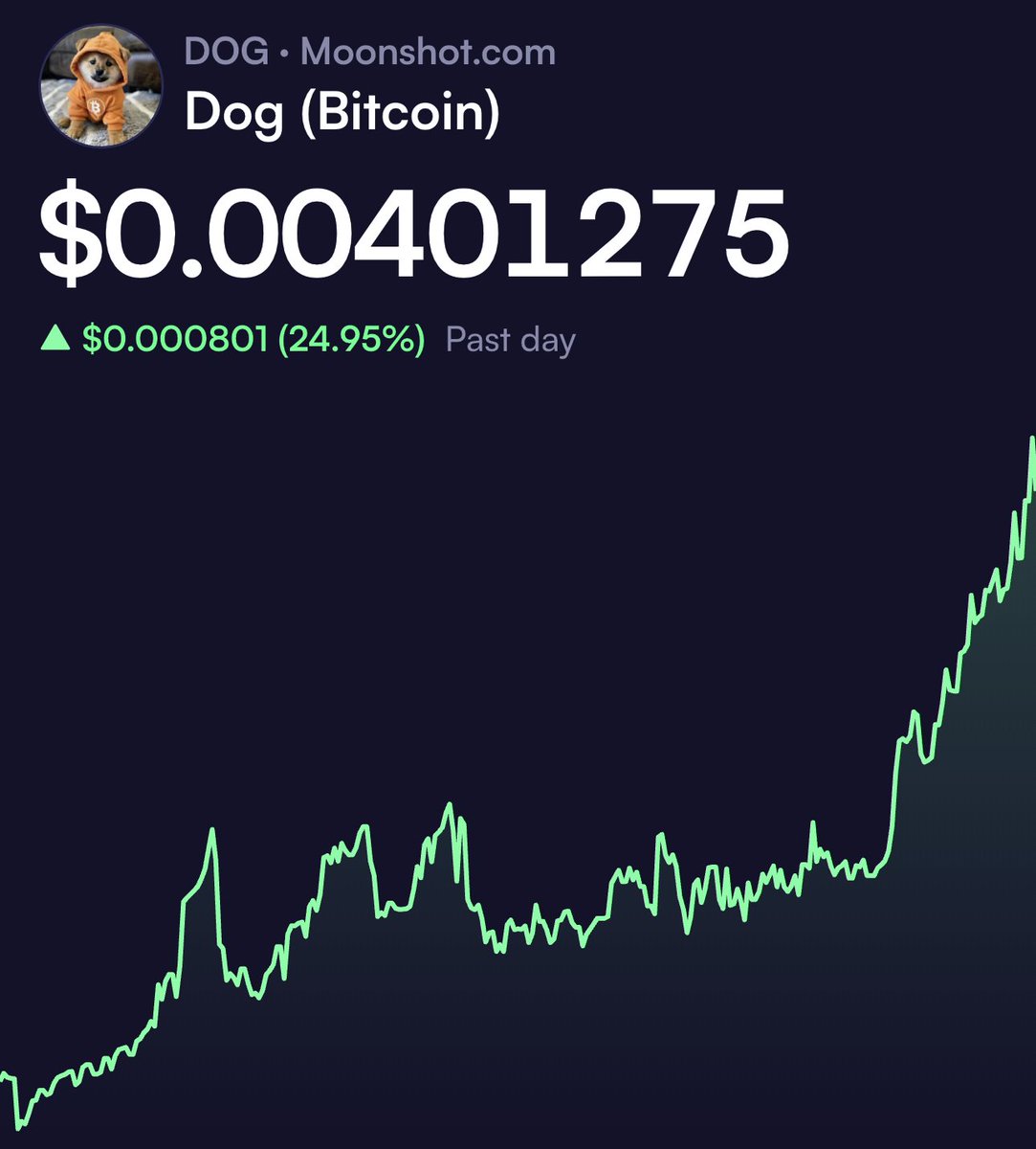 tiokbngf $Dog 💜 Kraken tweet media