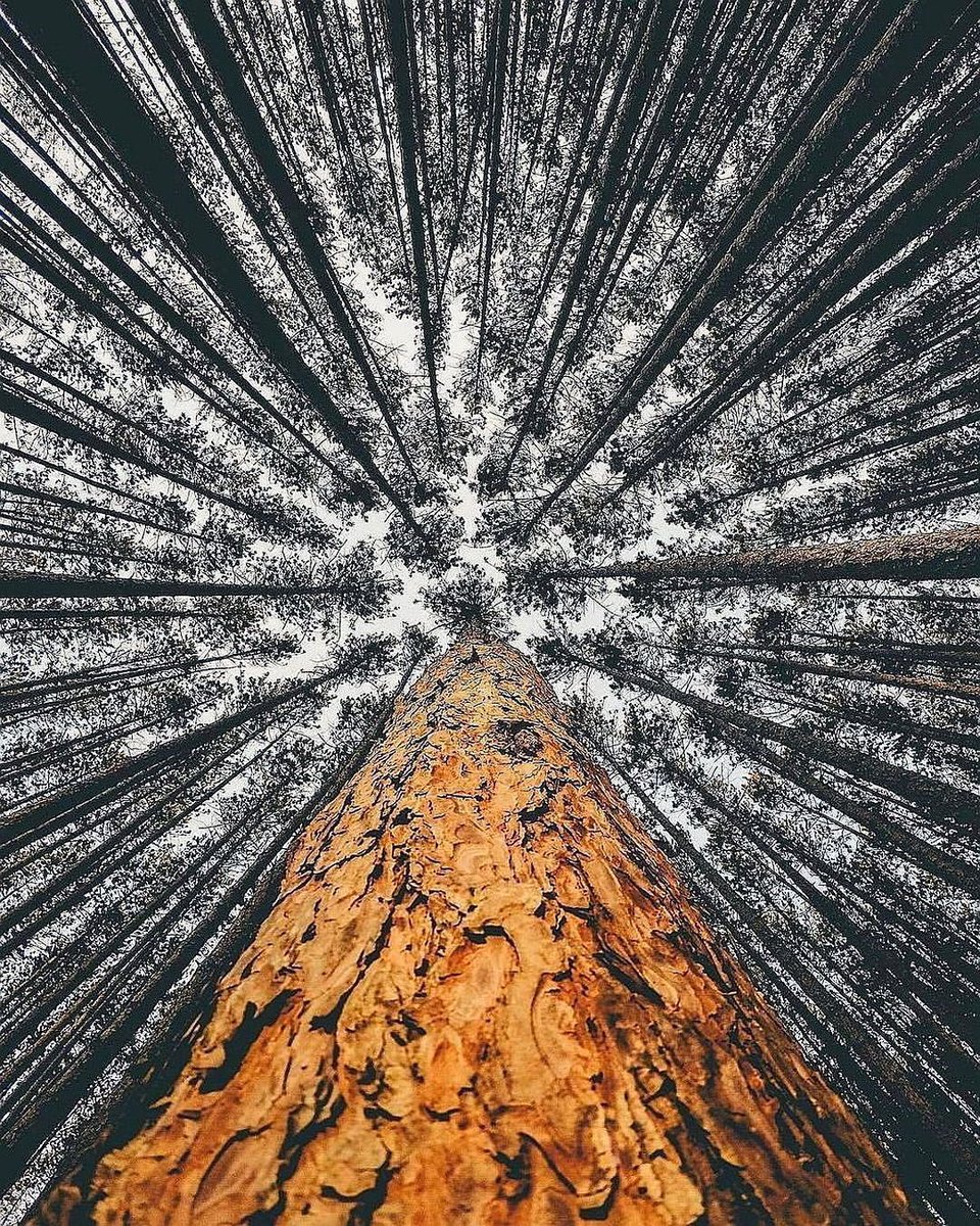 Hello, World! tweet media