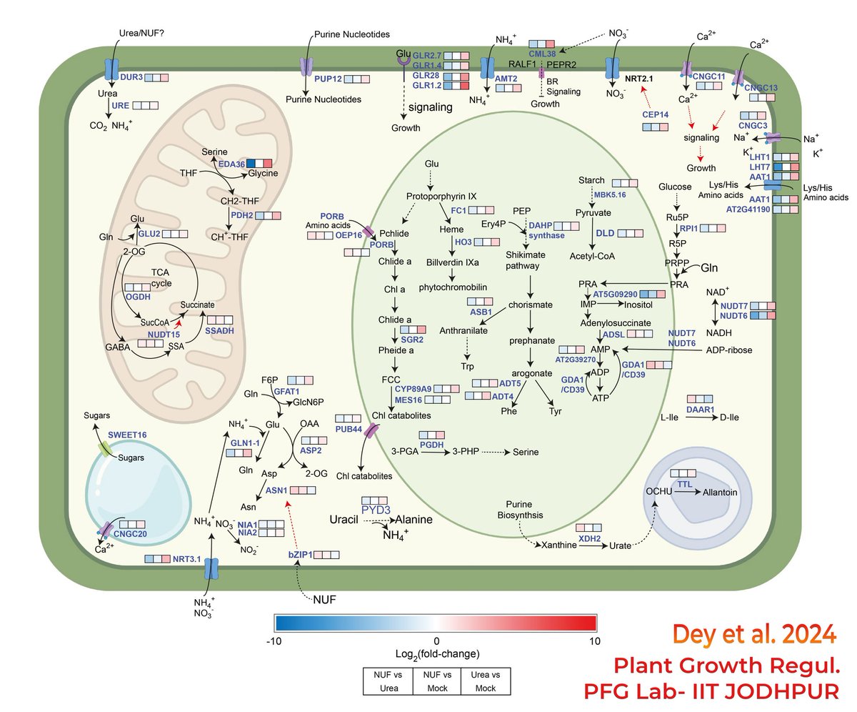 ARPAN DEY, IIT JODHPUR ๐ฎ๐ณ (@arpandeyind) on Twitter photo Check out our new work from #plantgenomics lab of <a href="/iitjodhpur/">Indian Institute of Technology Jodhpur</a>
<a href="/springer1842/">Springer</a>
Thank you Dr. <a href="/ayanbiotechhitk/">Ayan Sadhukhan</a> sir โ๐ป
Grateful to my lovely lab mates <a href="/NeelamJangirPhD/">NEELAM JANGIR</a> <a href="/Devanshukhml/">Devanshu Verma</a> and <a href="/Rabisankarmandi/">Rabisankar Mandi</a>
<a href="/AbioticStress/">Abiotic stress in plants (Green Survivors)</a> <a href="/Stressed_plants/">Stressed (Abiotic/Biotic) Plants</a> <a href="/IFFCO_RJ/">IFFCO_RJ</a> <a href="/TarunenduSingh/">Tarunendu</a> Check out our new work from #plantgenomics lab of <a href="/iitjodhpur/">Indian Institute of Technology Jodhpur</a>
<a href="/springer1842/">Springer</a>
Thank you Dr. <a href="/ayanbiotechhitk/">Ayan Sadhukhan</a> sir โ๐ป
Grateful to my lovely lab mates <a href="/NeelamJangirPhD/">NEELAM JANGIR</a> <a href="/Devanshukhml/">Devanshu Verma</a> and <a href="/Rabisankarmandi/">Rabisankar Mandi</a>
<a href="/AbioticStress/">Abiotic stress in plants (Green Survivors)</a> <a href="/Stressed_plants/">Stressed (Abiotic/Biotic) Plants</a> <a href="/IFFCO_RJ/">IFFCO_RJ</a> <a href="/TarunenduSingh/">Tarunendu</a>