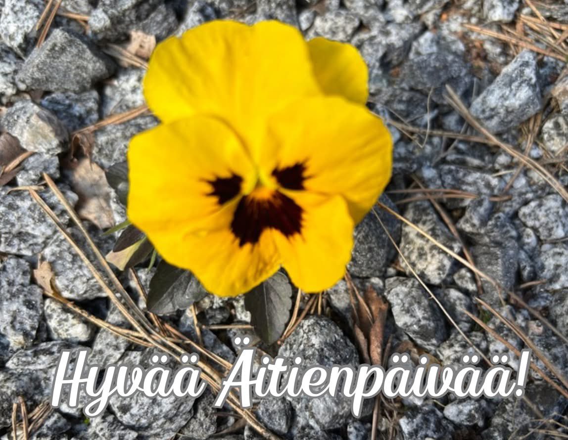 Tukevassa kasvualustassa syntyy elinvoimaisia, sitkeitä ja vahvoja yksilöitä!
