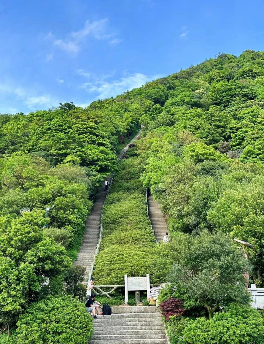 青空の下、緑が輝く階段の旅へ