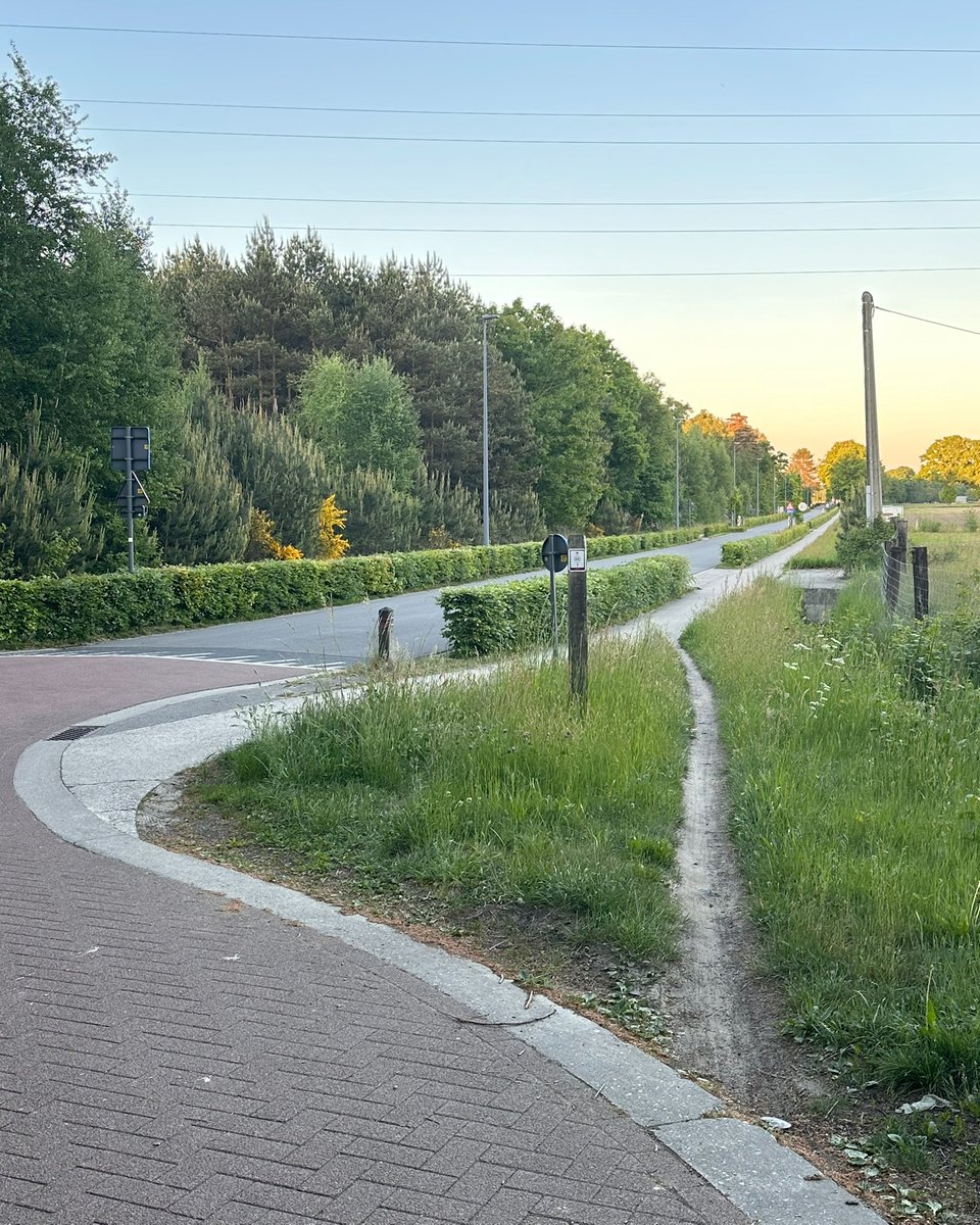 Gooreind klinkt nou niet bepaald als een plek waar je graag wil zijn. Maar als je dan deze foto ingestuurd krijgt, blijkt dat Gooreind eigenlijk best wel een schoon begin heeft.

- Waardering: ⭐️⭐️⭐️
- Terreinwinst: 2.7 meter
- Locatie: Gooreind