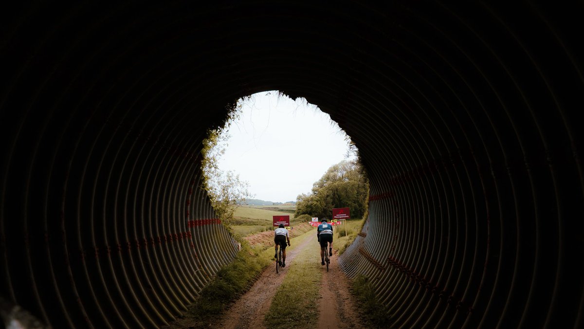 trobroleon's tweet photo. 🤩 Jour de #TroBroLeon !
🤩 It’s #TroBroLeon day! https://t.co/bZkEdnJqTc