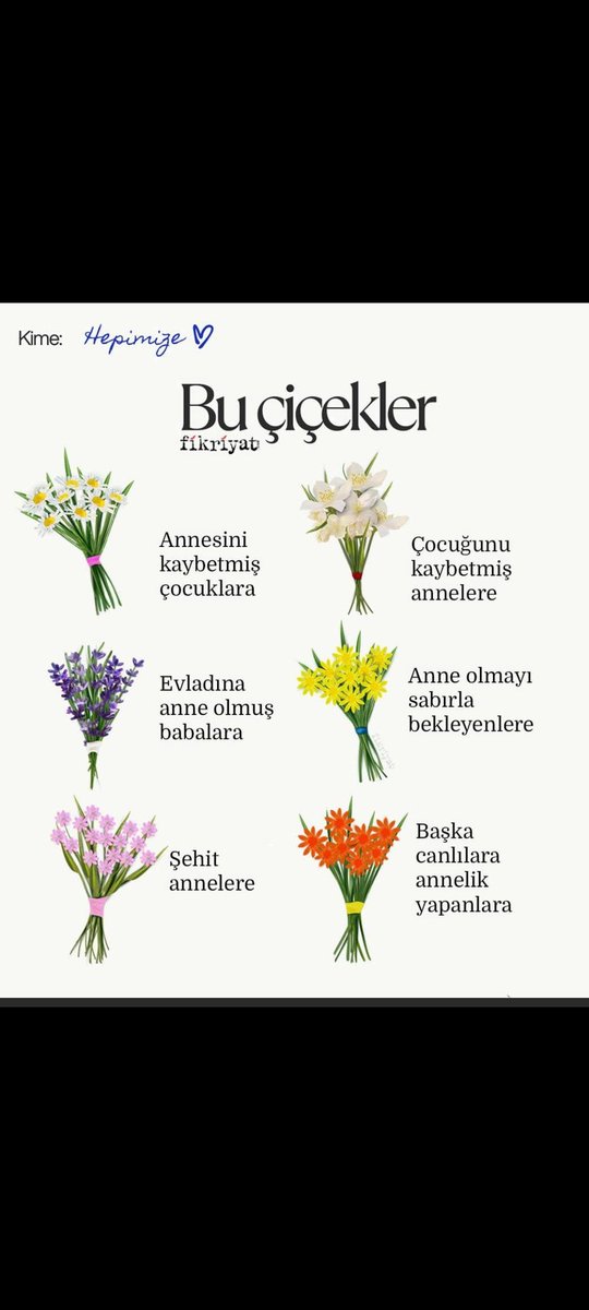 Emel Seçen (Mesk-i Nar)S3NB3N (@meskinar) on Twitter photo 