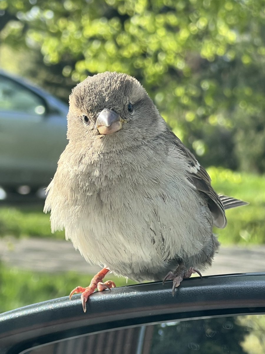 Ja šķiet, ka tevi kāds vēro, tad tā noteikti ir!