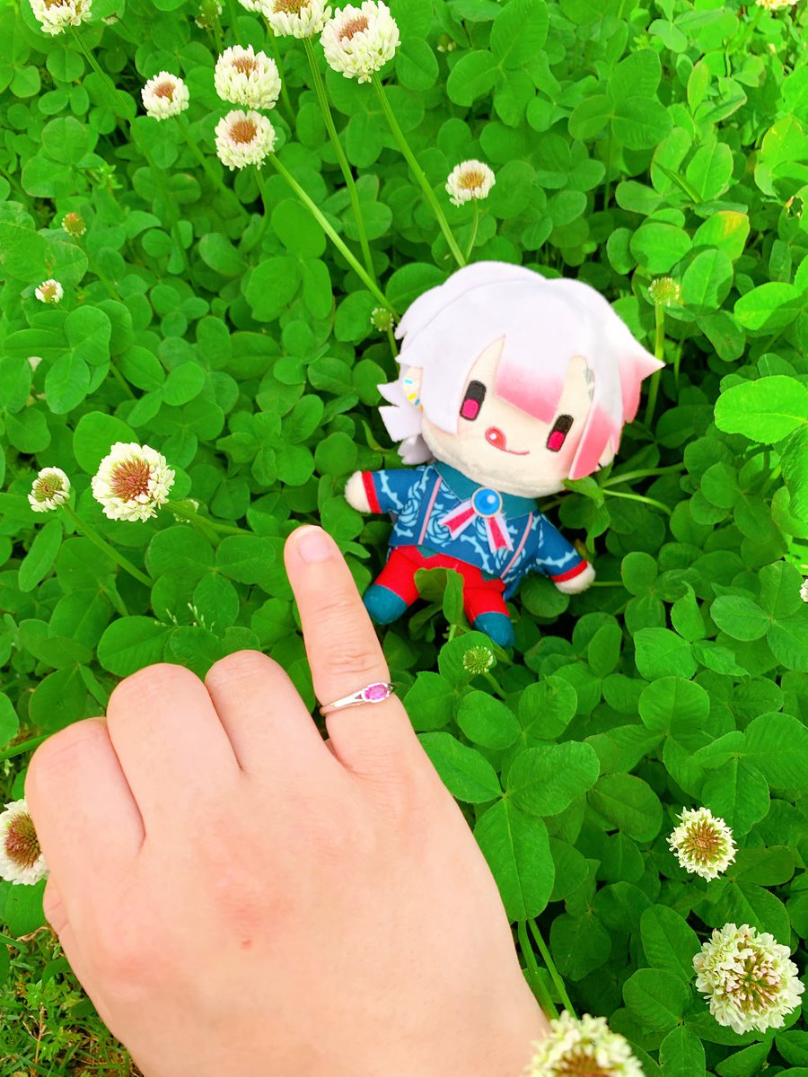 執事からのお返しVD2025