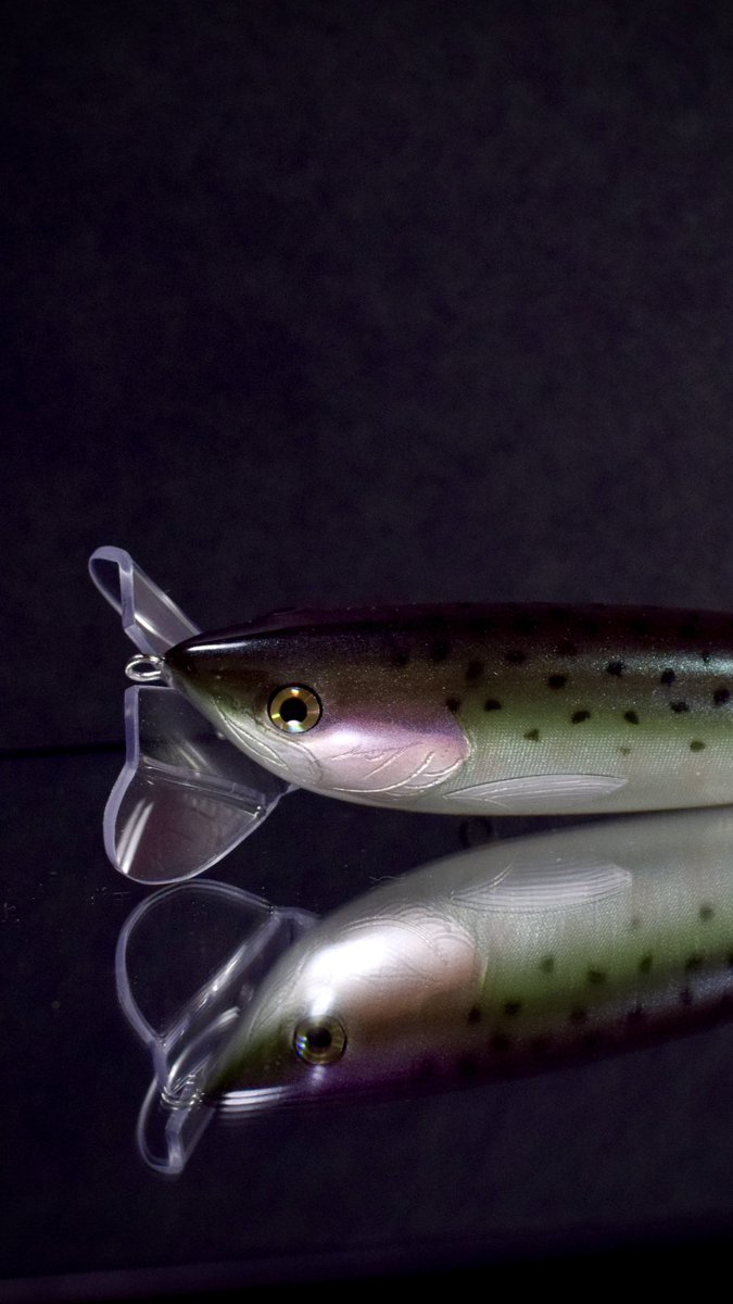 BT100ベースのビワマスカラーではなく、この作品の為だけに設計制作