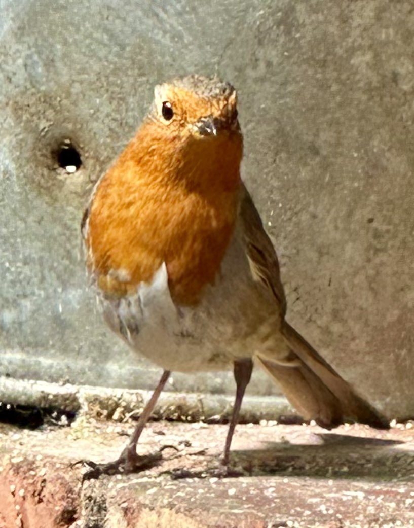 Jools 🐝💙 tweet media