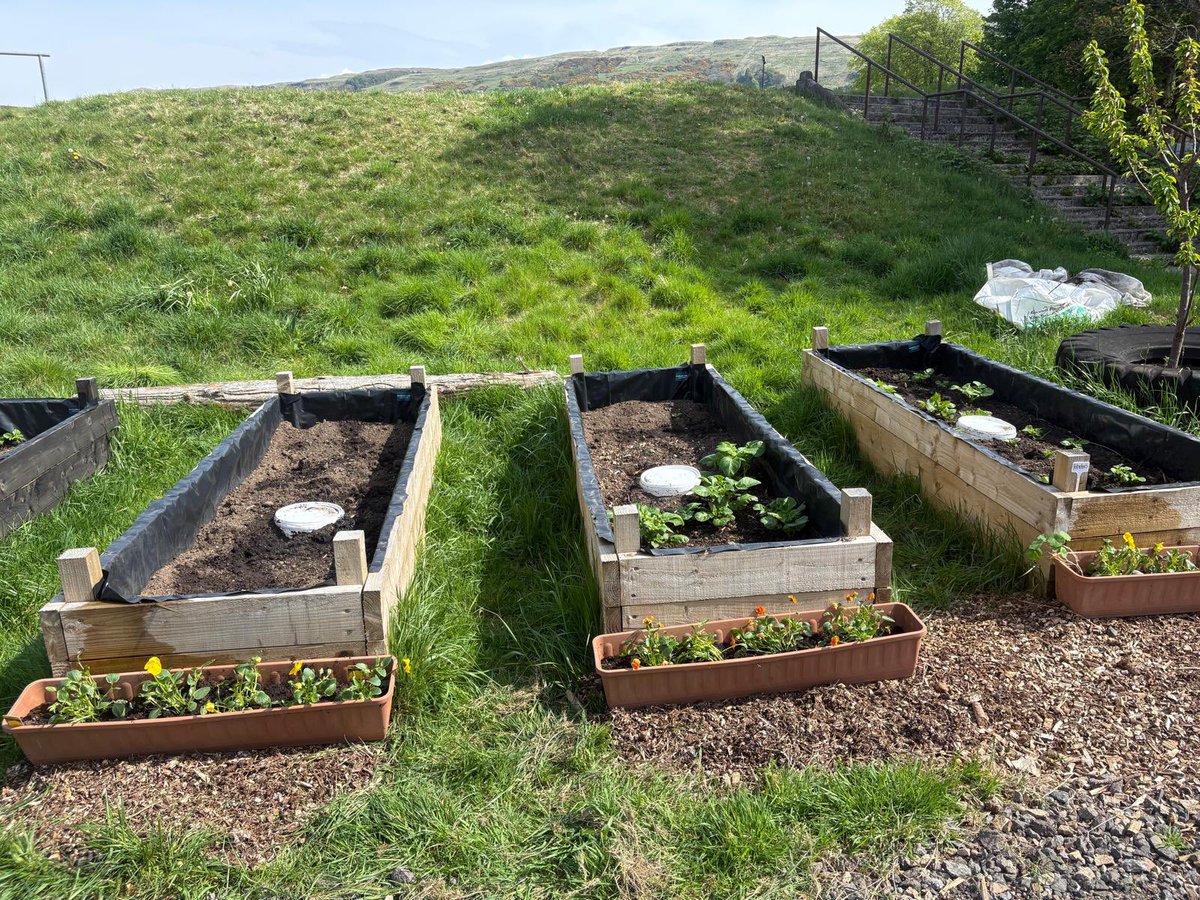 Justice Services (@nacjustice) on Twitter photo Ongoing support continues at Largs Community Garden. Well done to our hard working Supervisors and Teams. Ongoing support continues at Largs Community Garden. Well done to our hard working Supervisors and Teams.