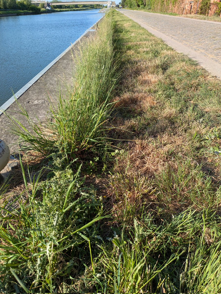 vpunker69's tweet image. 🌍 Just took action with @cleanify_vet! Picked up litter and submitted my impact to help keep our planet clean! ♻️💚 📸 

Join the movement and start making a difference at cleanify.vet! 

#CleanUpChallenge #EarthCleanup #Sustainability #VeBetterDAO #Vechain