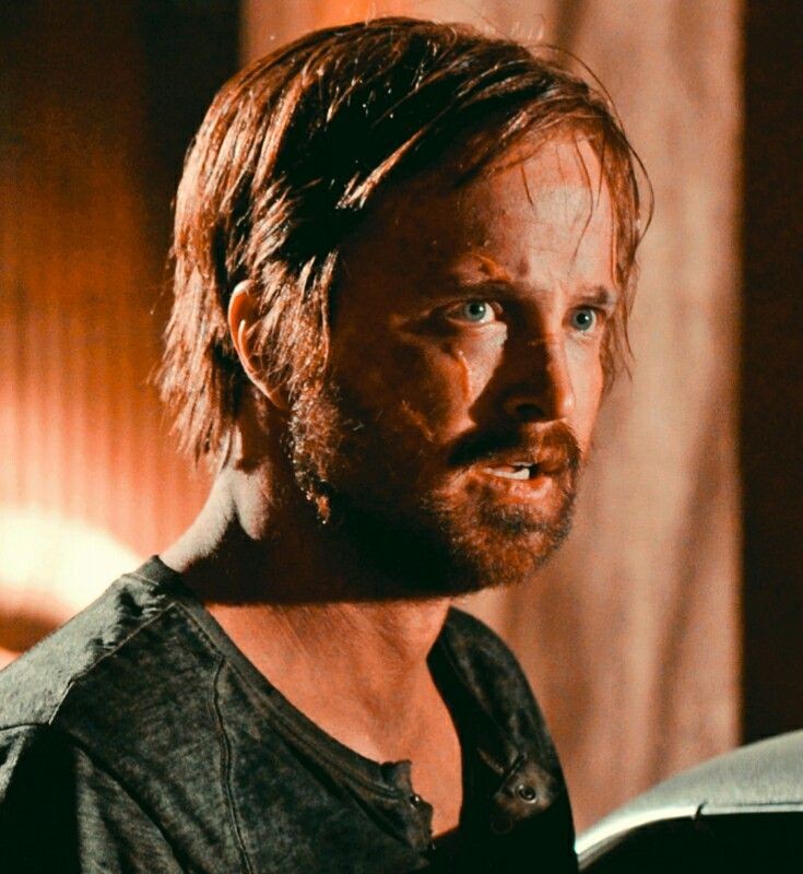 شاملو tweet media